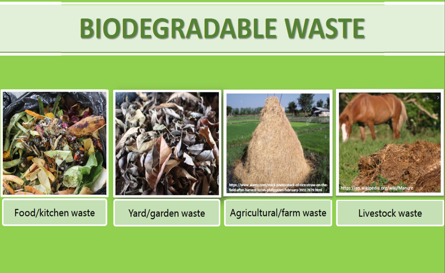 Biodegradable waste reference guide